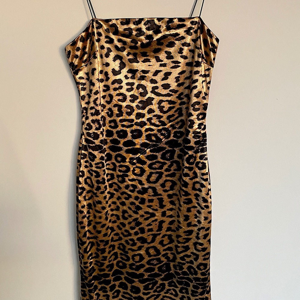 Animal print Bodycon midi dress